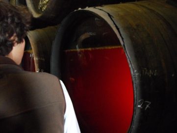 guadaira-sanlucar-12